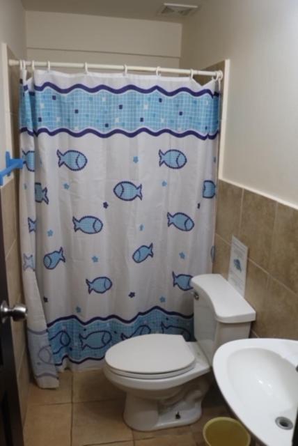 Uverito Sand Dollar B&B ラス・タブラス エクステリア 写真