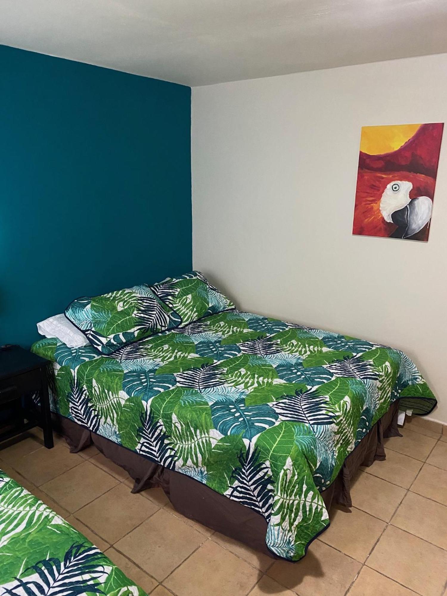 Uverito Sand Dollar B&B ラス・タブラス エクステリア 写真