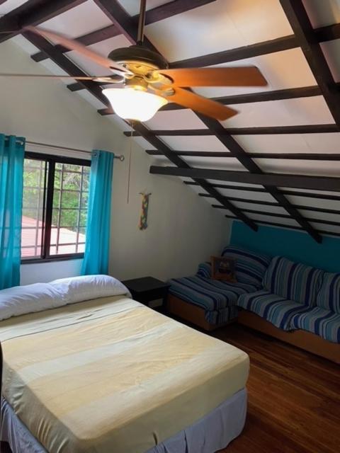 Uverito Sand Dollar B&B ラス・タブラス エクステリア 写真
