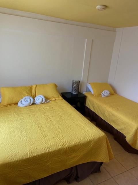 Uverito Sand Dollar B&B ラス・タブラス エクステリア 写真