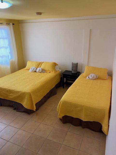 Uverito Sand Dollar B&B ラス・タブラス エクステリア 写真